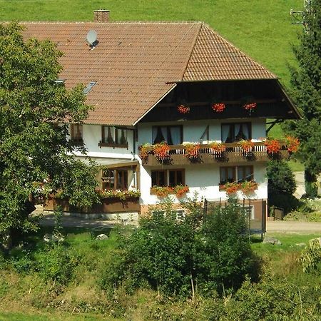 Schusselehof Apartament Oberprechtal Zewnętrze zdjęcie