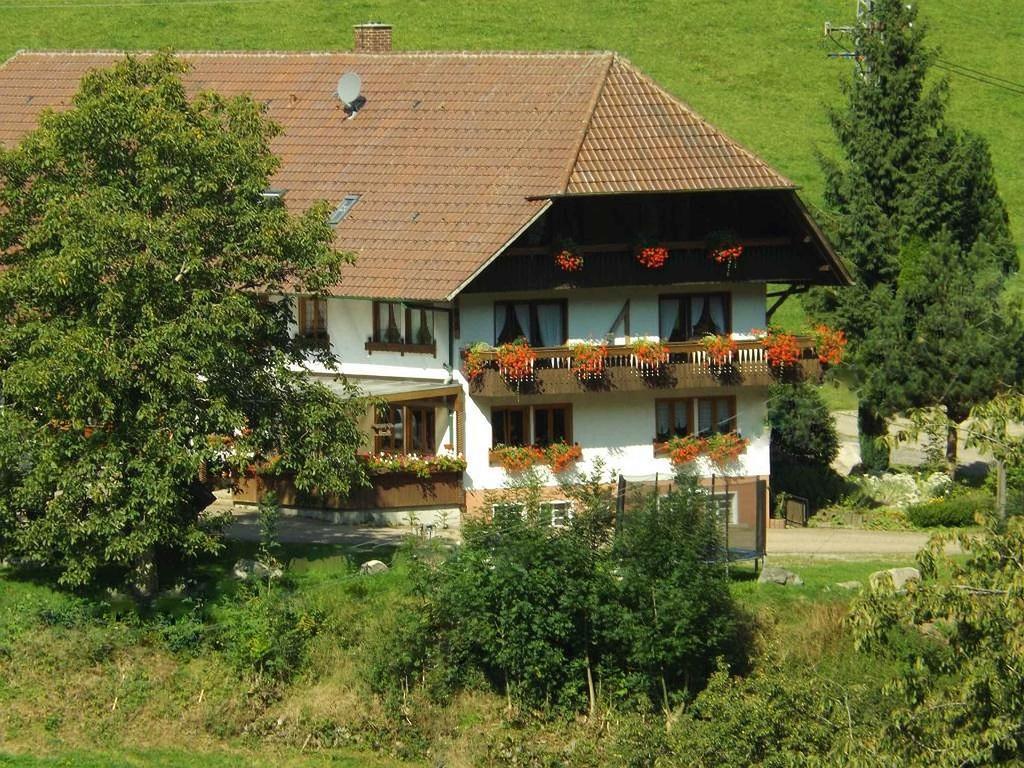 Schusselehof Apartament Oberprechtal Zewnętrze zdjęcie